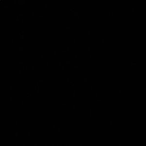 Meet your Posher, Briana